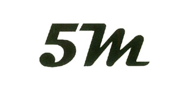 5M